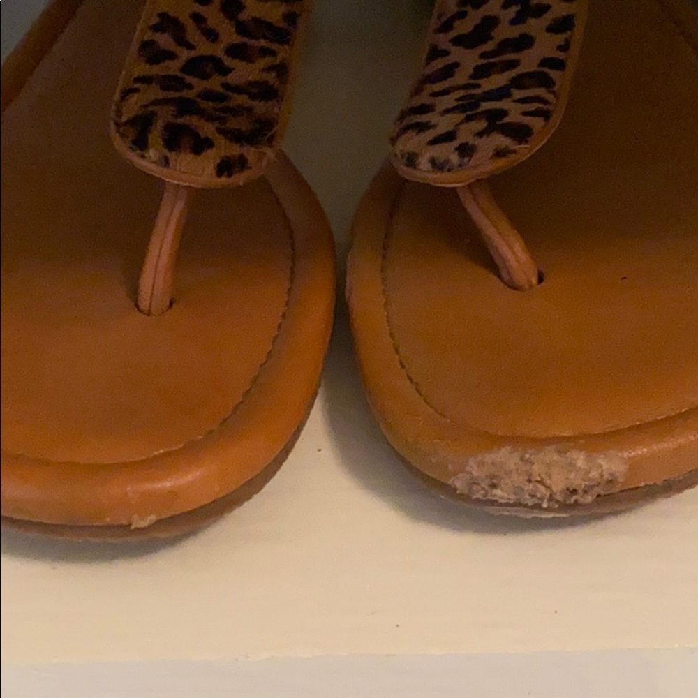 Cole Han Cheetah Sandals - Picture 5 of 5